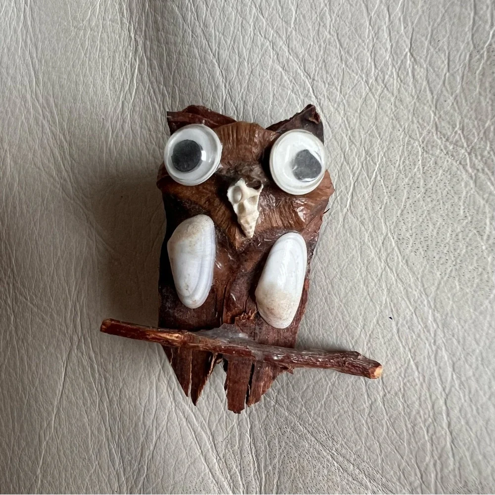 Handcrafted Wood and Shell Owl Pin with Googley Eyes